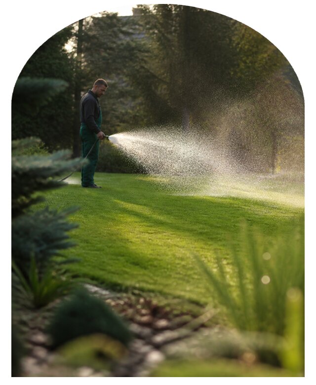 Полив газона в Томске по цене от 3824 р. | Метпроект-Тмс