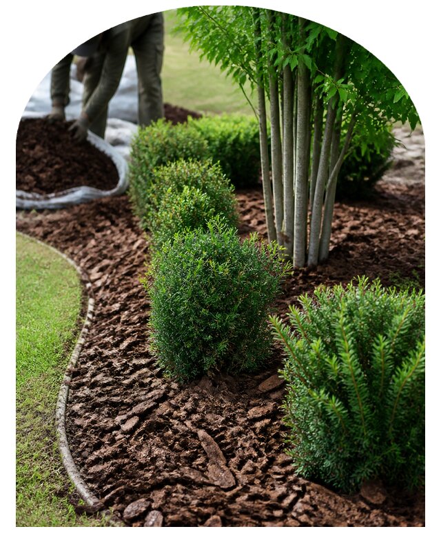 Мульчирование посадок в Томске по цене от 7103 р. | Метпроект-Тмс